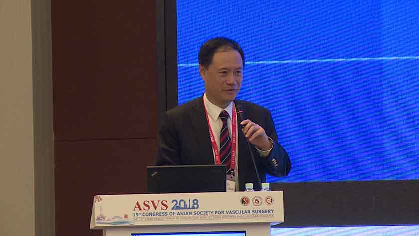 Stephen W.K. Cheng：TEVAR landing zones in the aortic arch